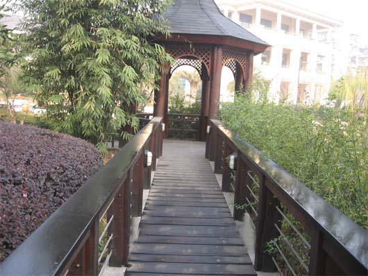 1650420103899220.jpg TS_JK017.jpg