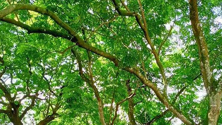 1650504459791918.jpg 8435e5dde71190ef76c61ba47b498a16fdfaaf51ca37.jpg